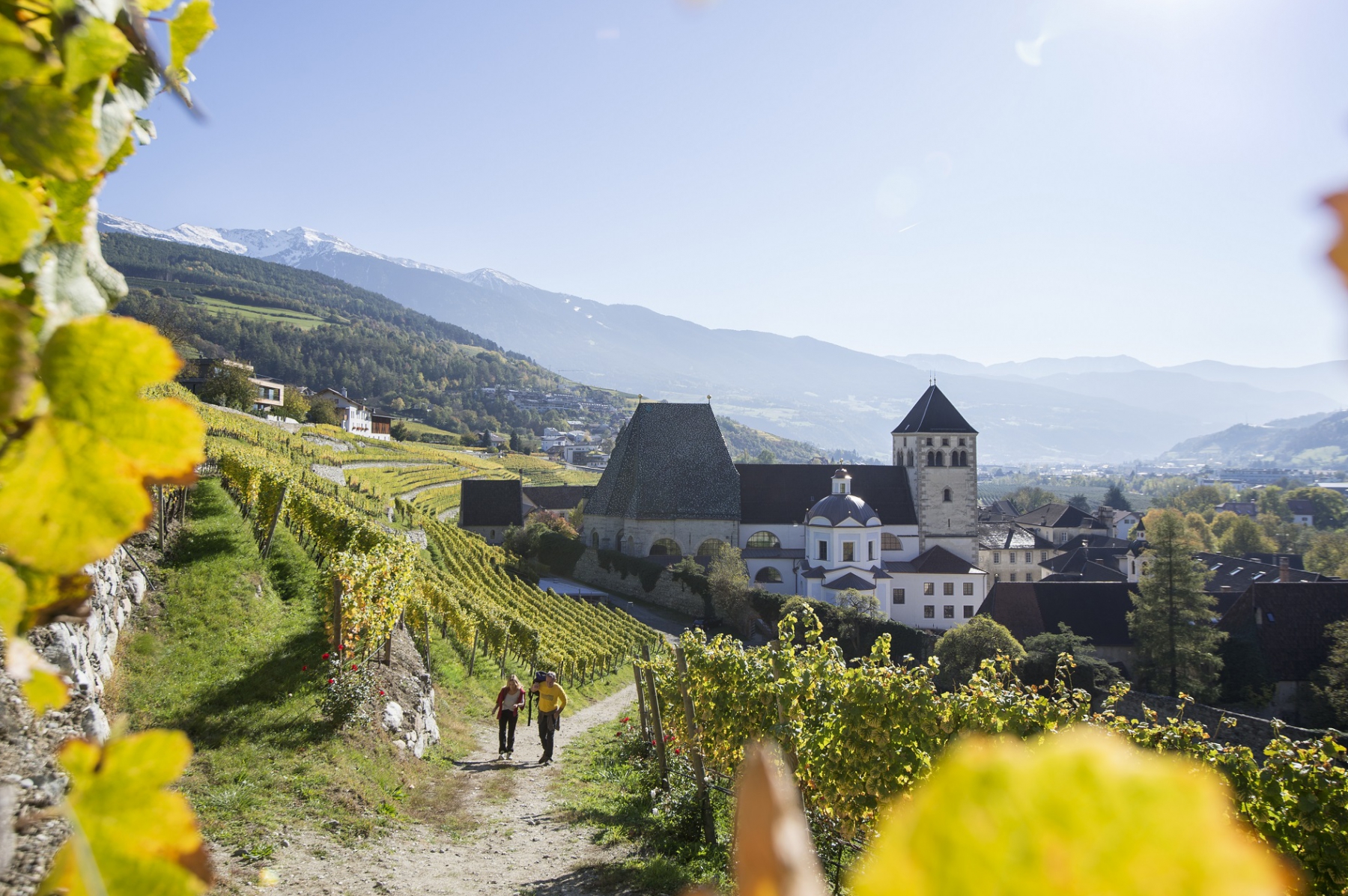 Alpine City Wellness Hotel Dominik